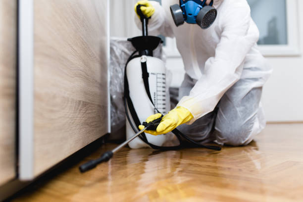 Best Cockroach Control Services  in Albuquerque, NM