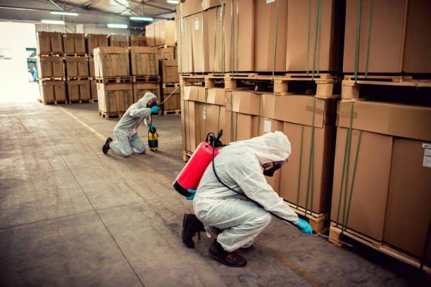 Best Commercial Pest Control Services  in Albuquerque, NM