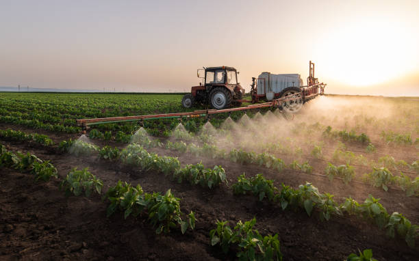 Best Commercial Pest Control Services  in Albuquerque, NM