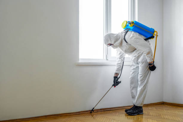 Reliable Albuquerque, NM Pest Control Solutions