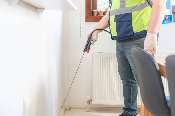 Best Termite Control Services  in Albuquerque, NM