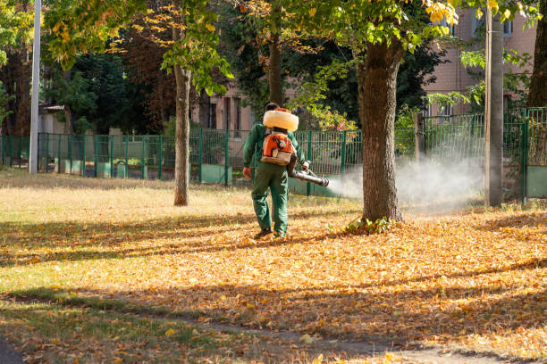 Best Rodent Control Near Me  in Albuquerque, NM