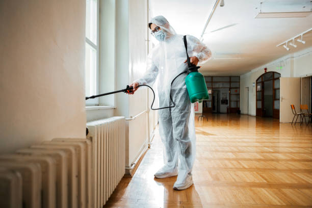 Best Residential Pest Control  in Albuquerque, NM