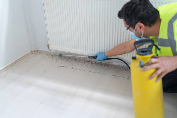Best Emergency Pest Control  in Albuquerque, NM