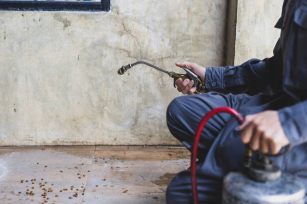 Best Affordable Pest Control Services  in Albuquerque, NM