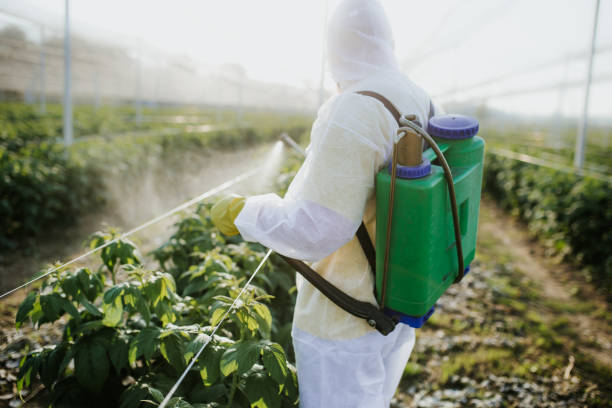 Best Residential Pest Control  in Albuquerque, NM